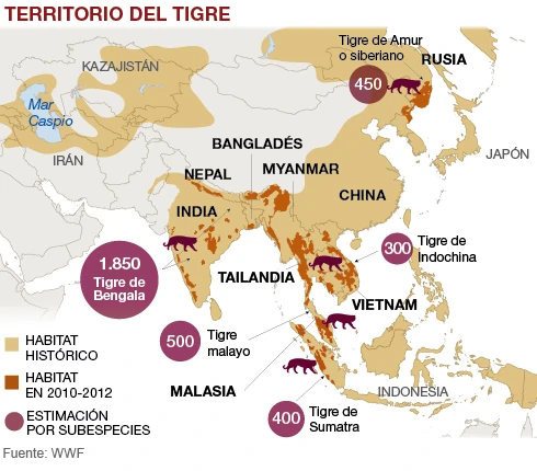 hábitat de los diferentes tipos de tigre