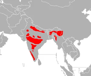 mapa del hábitat y distribución del tigre de bengala